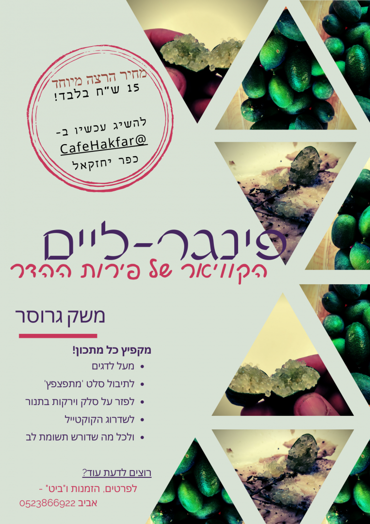 Organic Produce A4 Flyer (1)