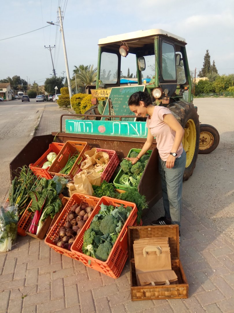 IMG 20190328 162920 IMG 20190328 162920