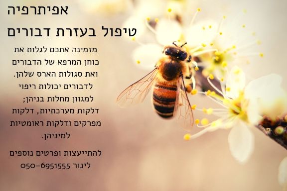 לינור אבירם טיפול בעזרת דבורים