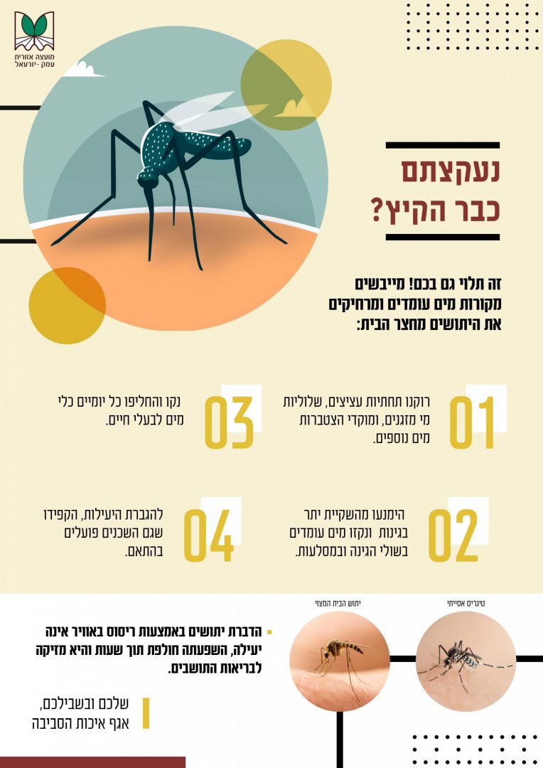 יתושים- דרכי התמודדות