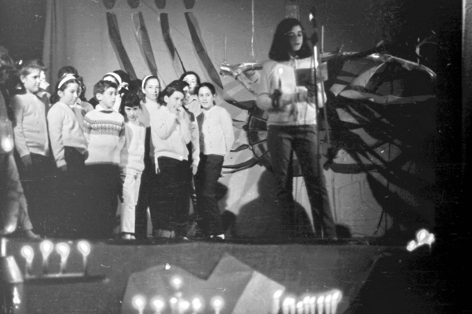 טלי שליין טלי שליין