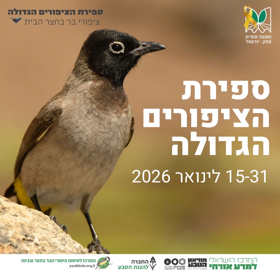 ספירת הציפורים הגדולה ספירת הציפורים הגדולה